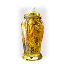 Bình ngâm rượu phú hòa 12L - CÓ VAN