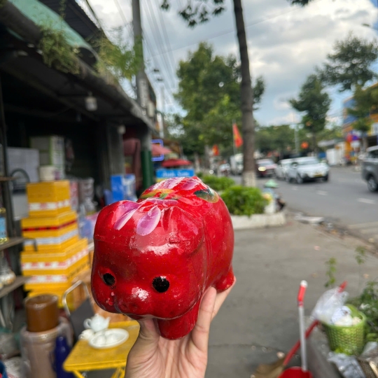 Heo đất 18*12